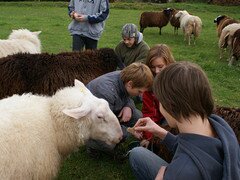 Bei einem mehrwchiges Praktikum werden die Schler mit dem Leben und den Arbeiten auf dem Schlerhof vertraut gemacht